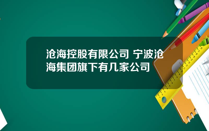 沧海控股有限公司 宁波沧海集团旗下有几家公司